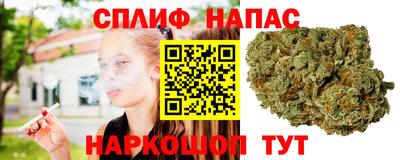 mdpv Гусиноозёрск