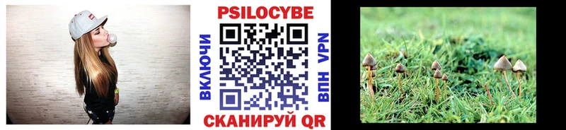 наркота мега вход Галлюциногенные грибы MAGIC MUSHROOMS Коммунар